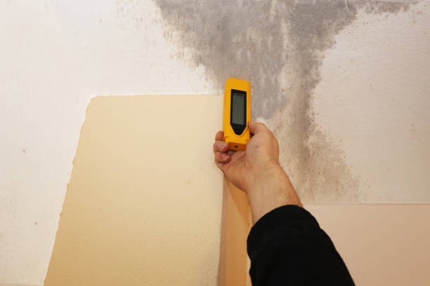 Best Post-Remediation Verification Testing  in Milaca, MN