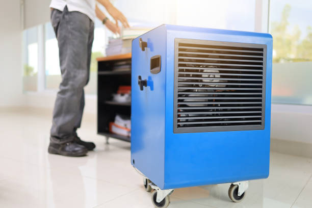 Best Industrial Mold Remediation  in Milaca, MN