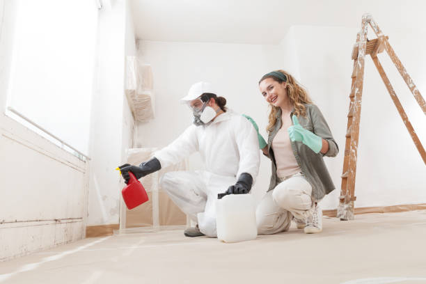 Mold Remediation for Vacation Homes in Milaca, MN