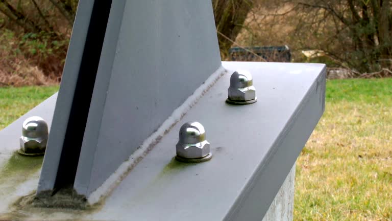 Best Comprehensive Air Testing for Mold Contaminants  in Milaca, MN