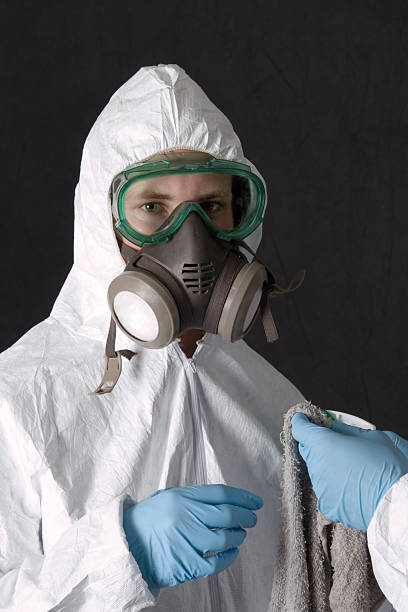 Best Black Mold Removal  in Milaca, MN